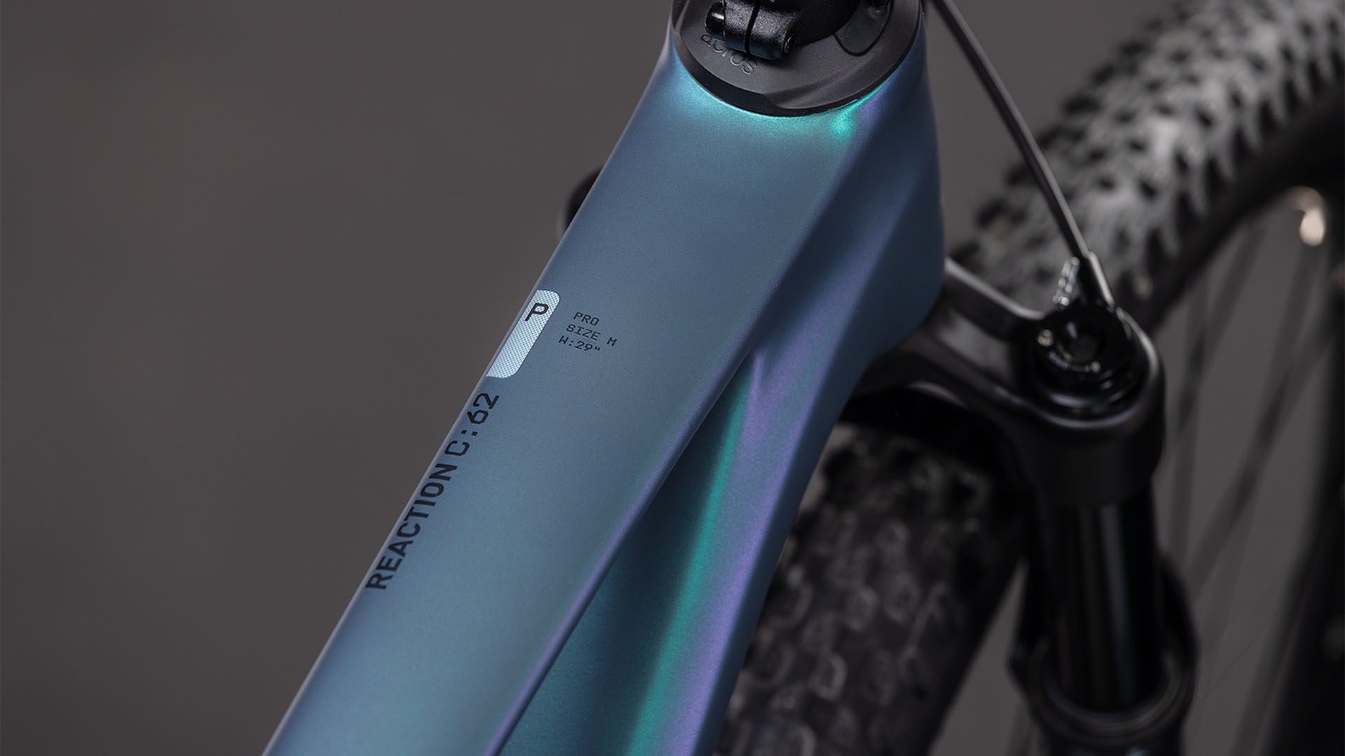 Reaction C:62 Pro polarlight´n´black