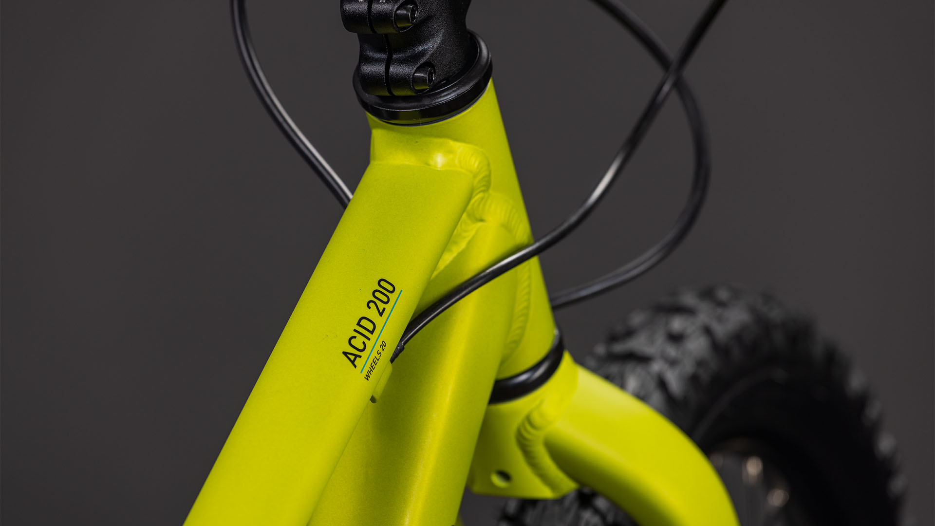 Acid 200 Disc lizard´n´blue