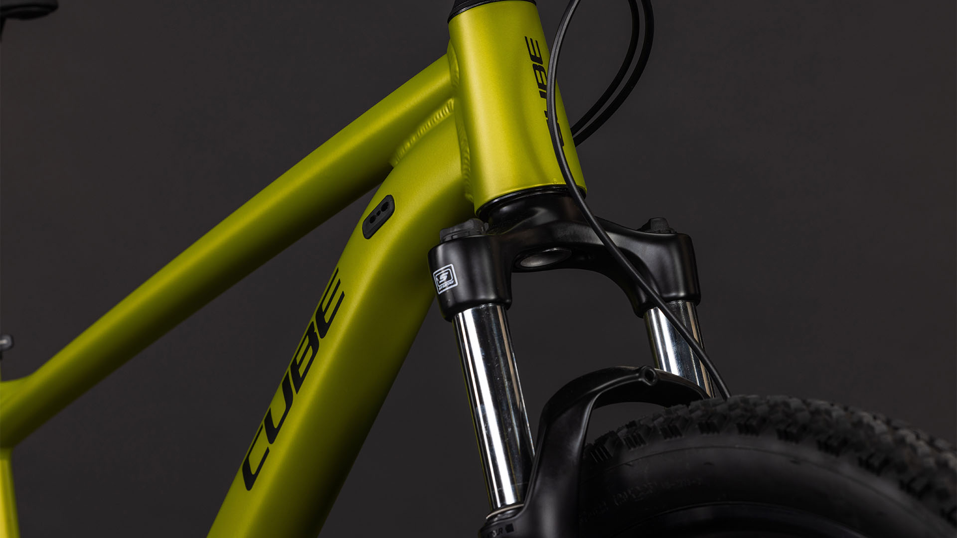 Aim Pro lizard´n´black