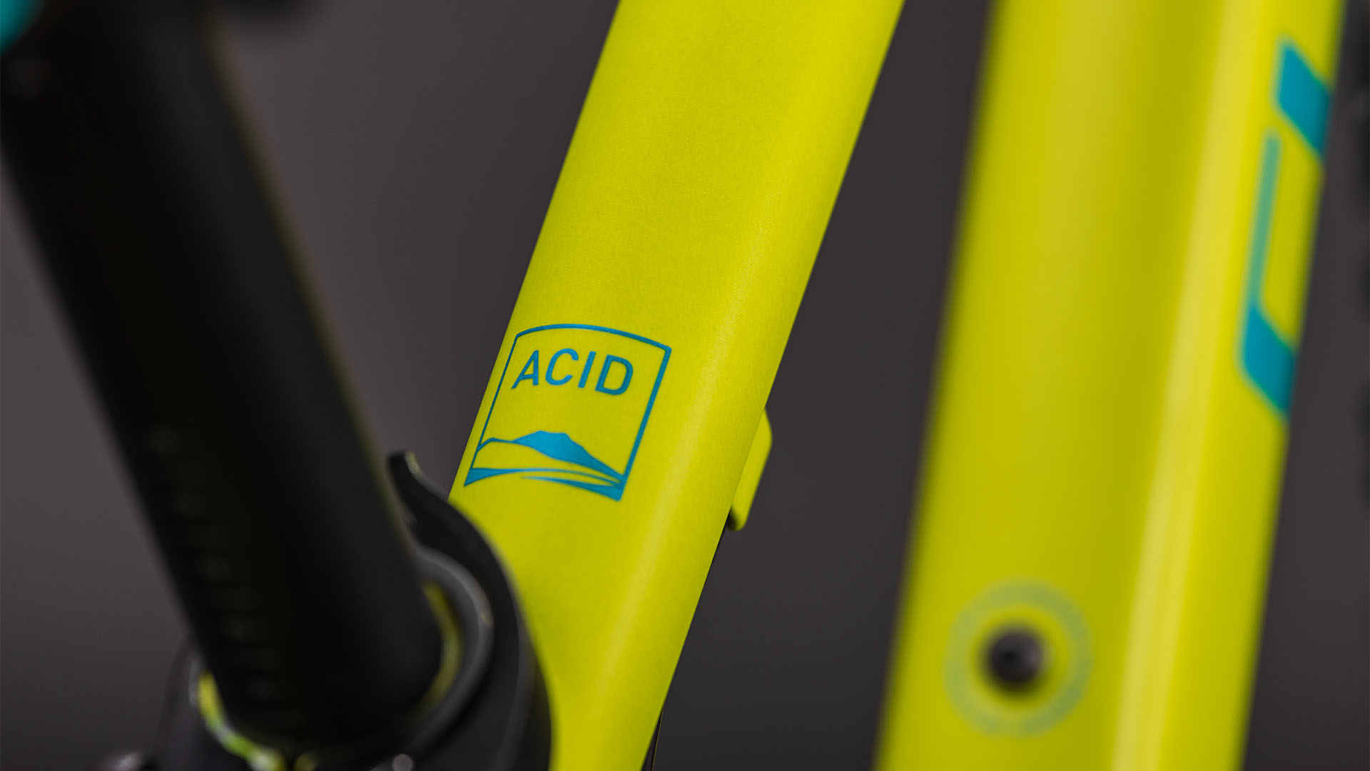 Acid 200 Disc lizard´n´blue