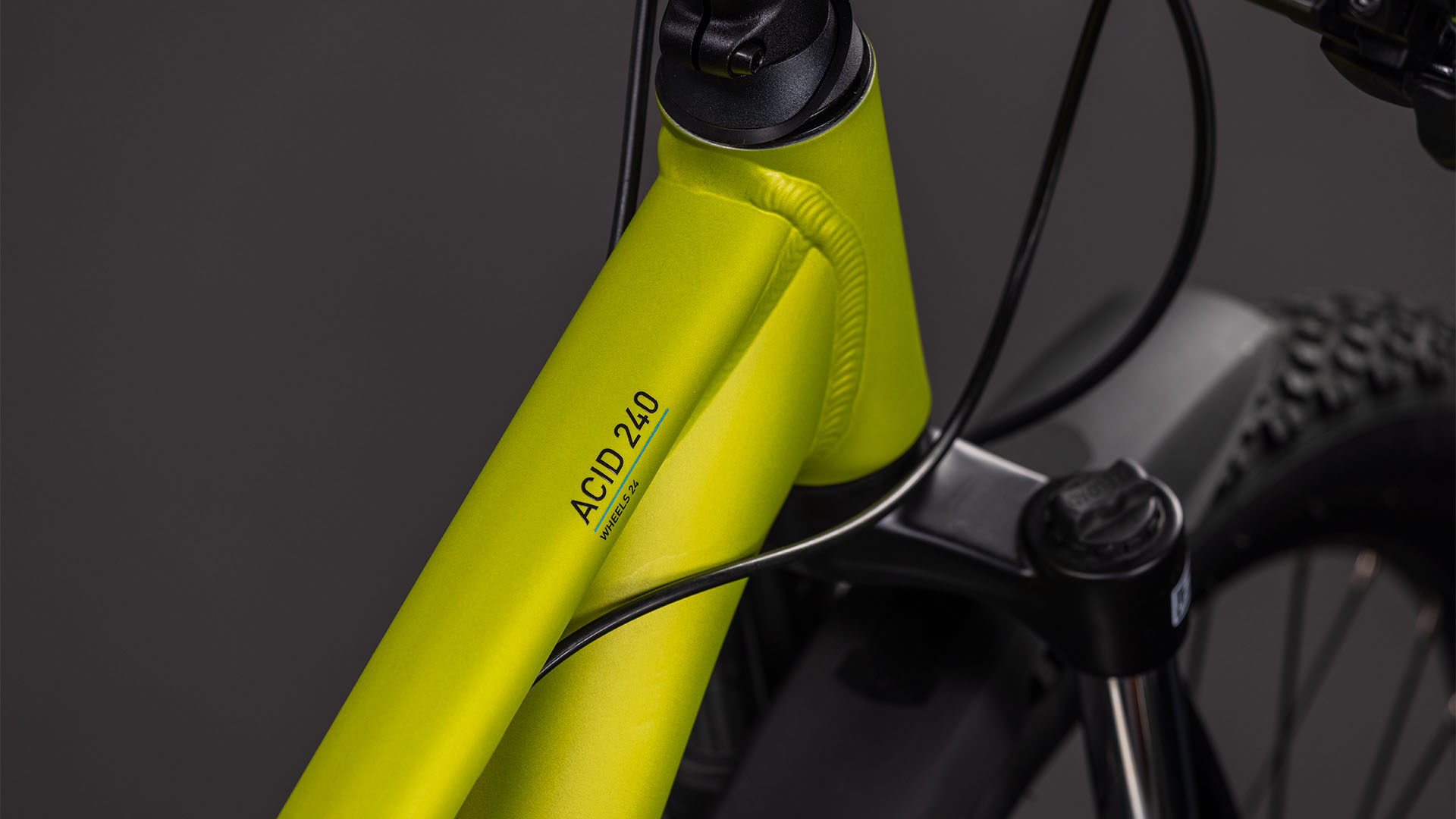 Acid 240 Disc FE lizard´n´blue
