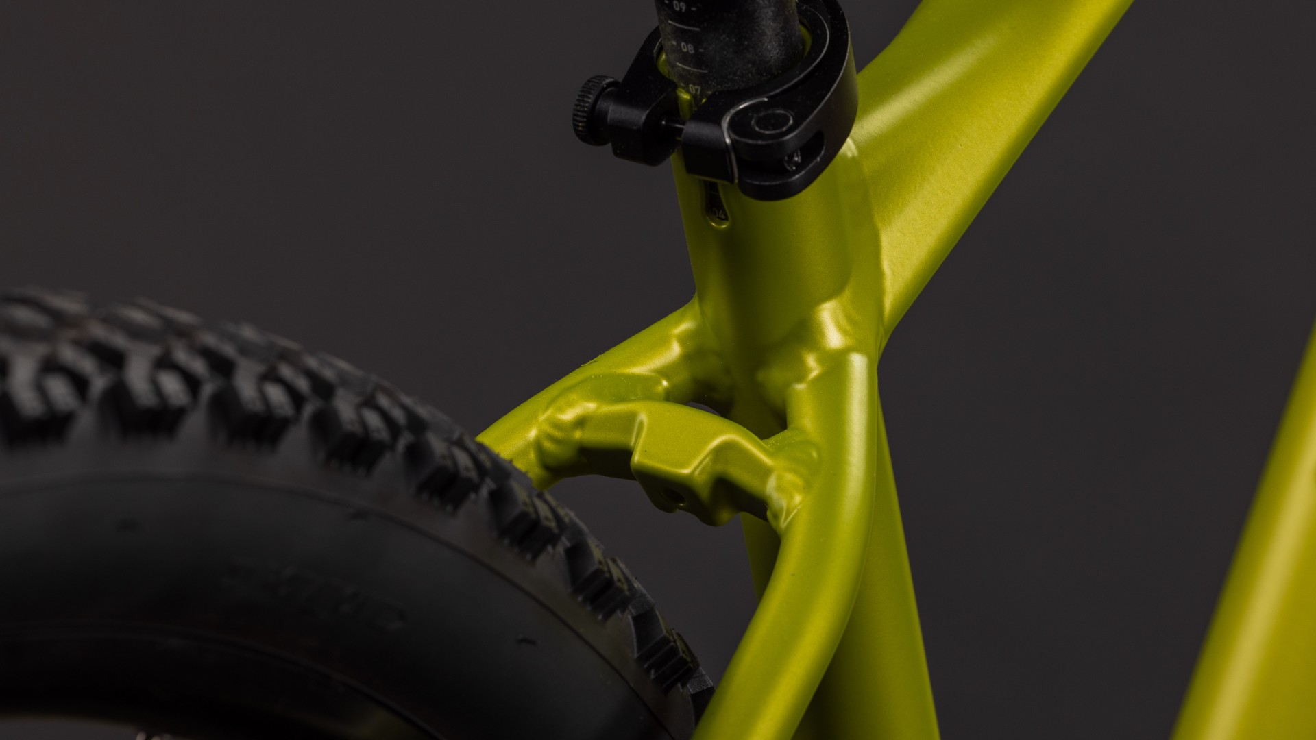 Aim Pro lizard´n´black