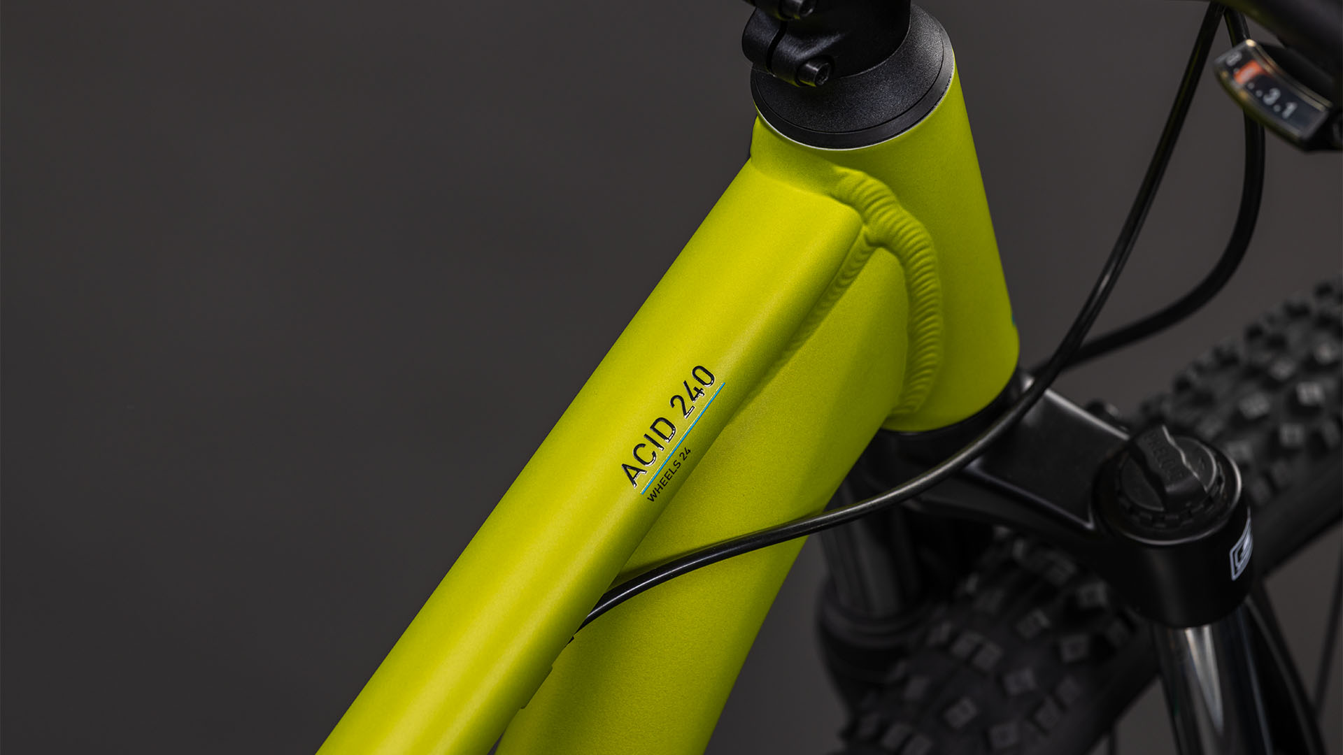 Acid 240 Disc lizard´n´blue