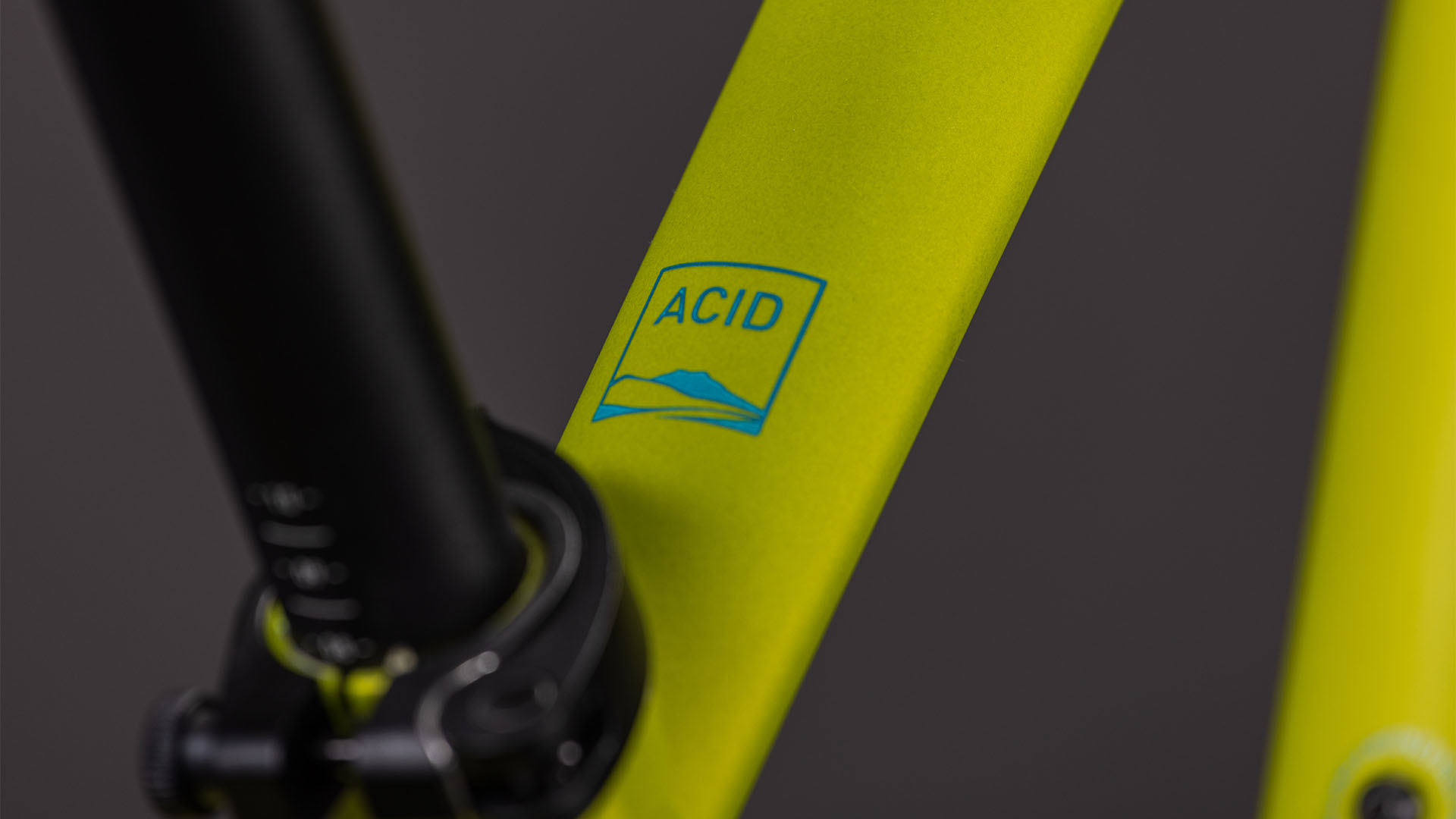 Acid 260 Disc lizard´n´blue