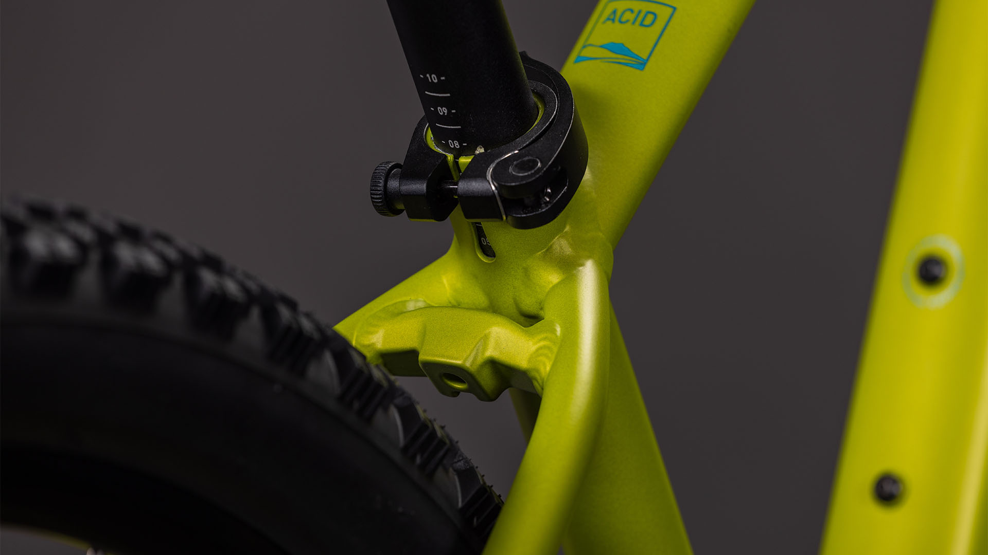 Acid 260 Disc lizard´n´blue