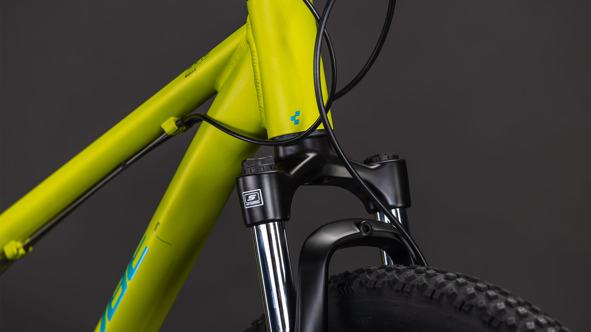 Acid 240 Disc lizard´n´blue