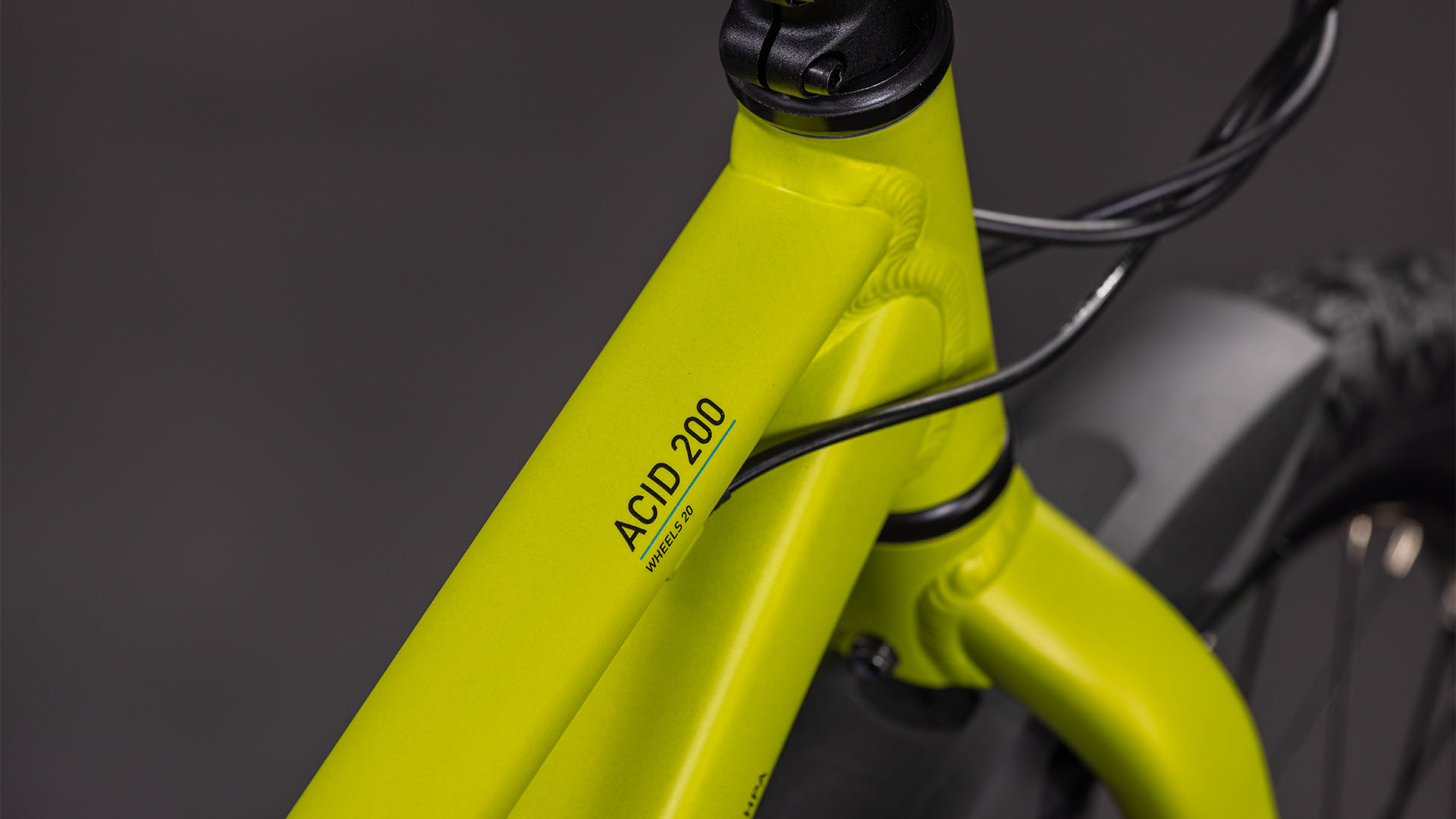 Acid 200 Disc FE lizard´n´blue