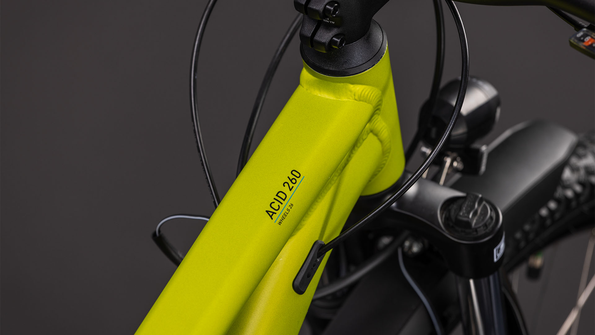 Acid 260 Disc FE lizard´n´blue