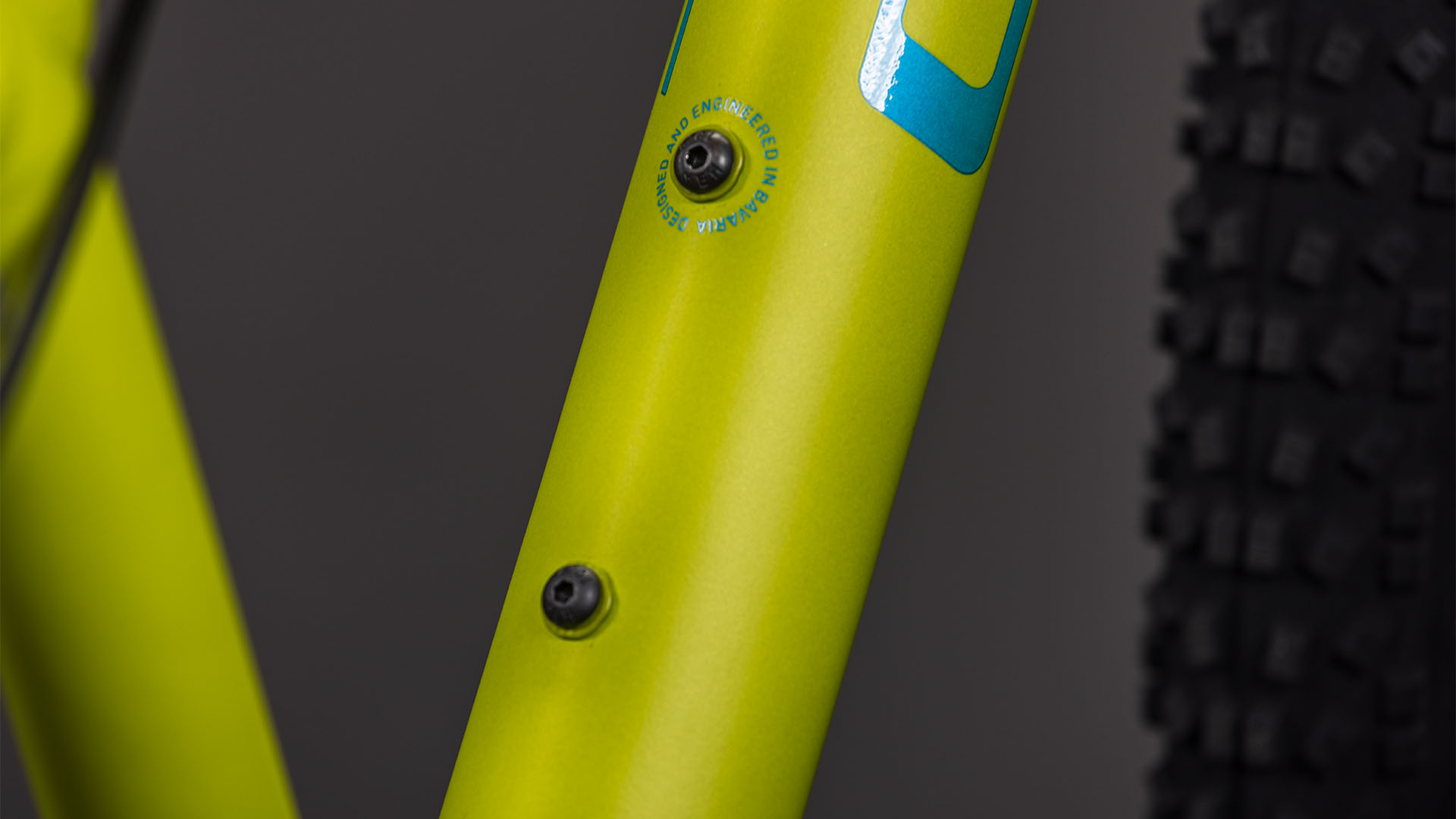 Acid 240 Disc lizard´n´blue