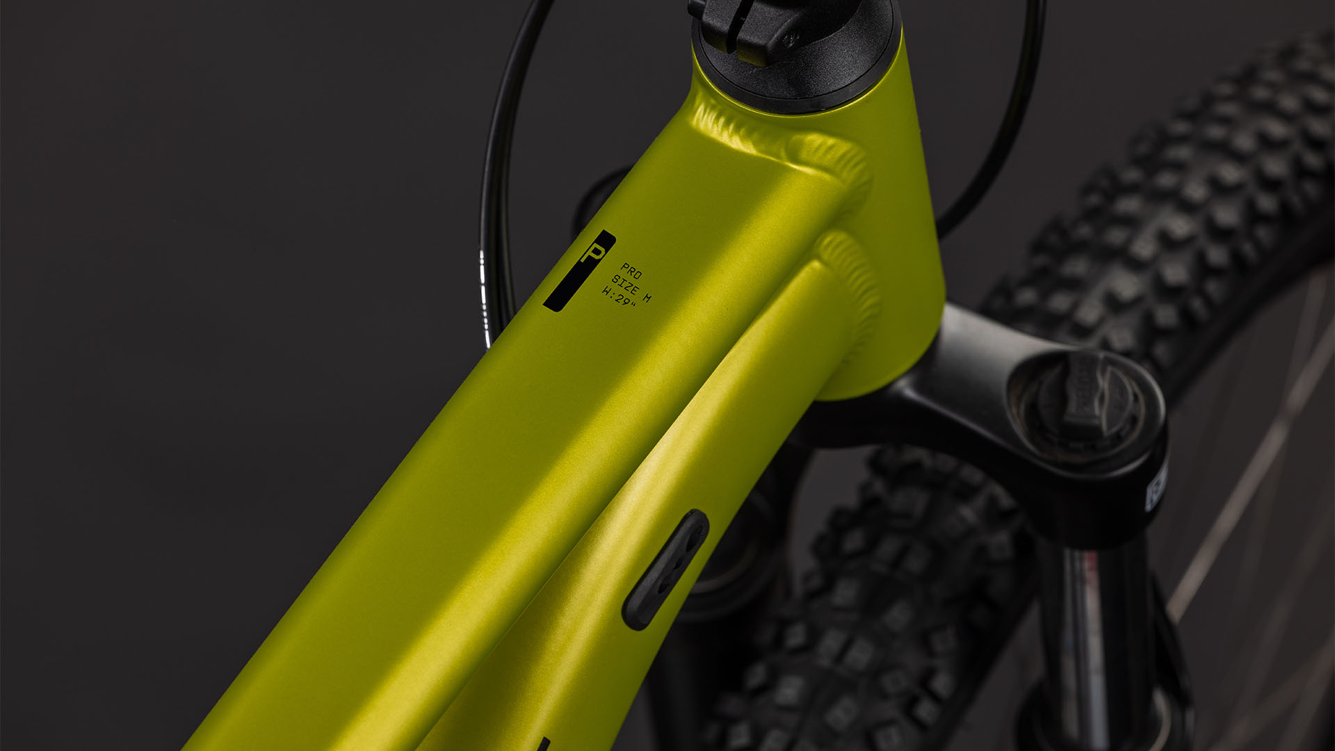 Aim Pro lizard´n´black