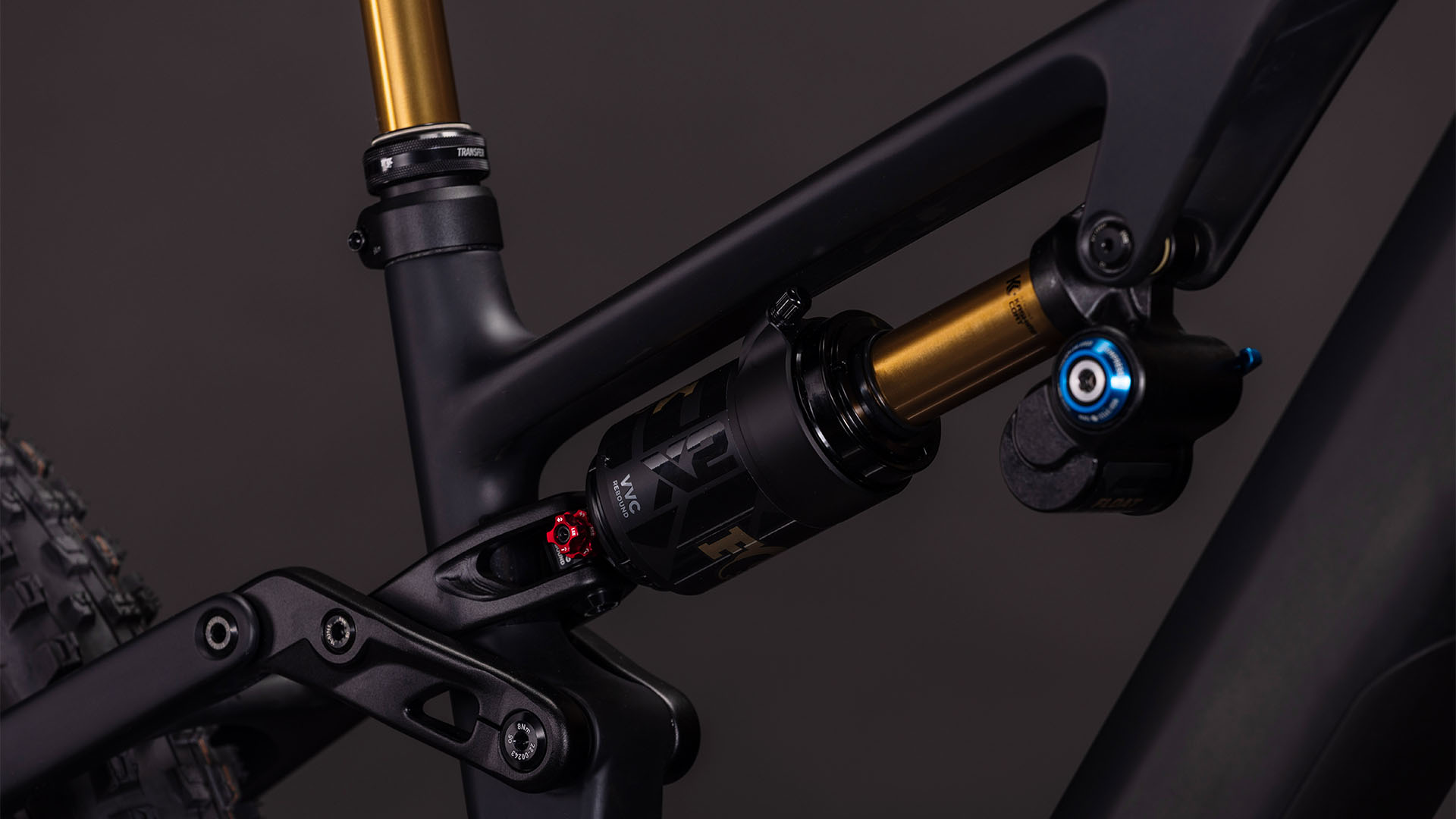 AMS Hybrid 177 C:62 AT 600X carbon´n´gold